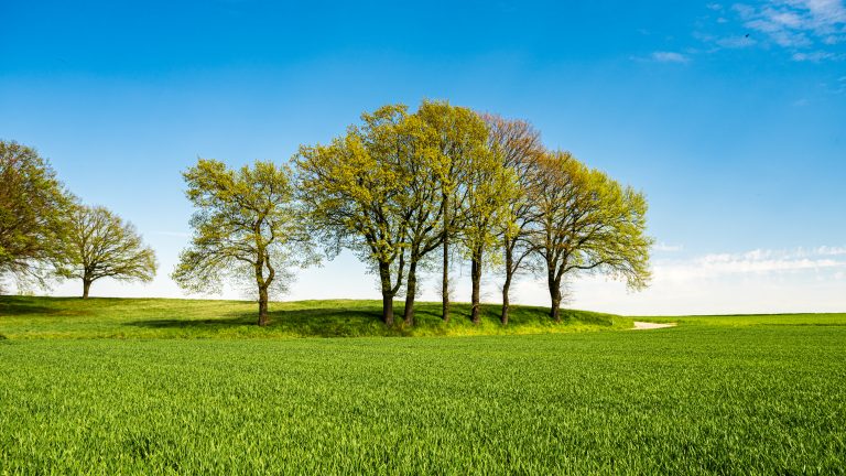 Green meadows with blue sky and clouds background